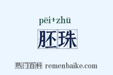 胚珠是什么意思的图片